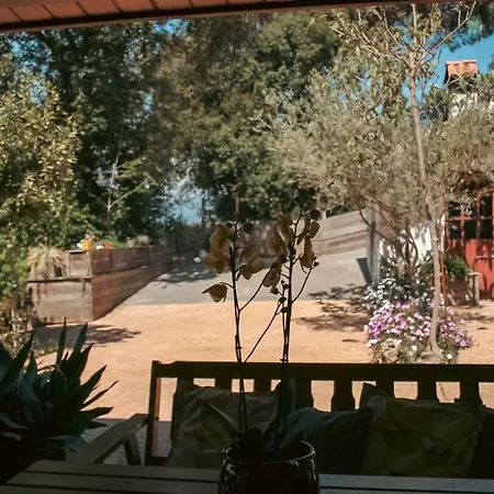 Casa Magnolia *
