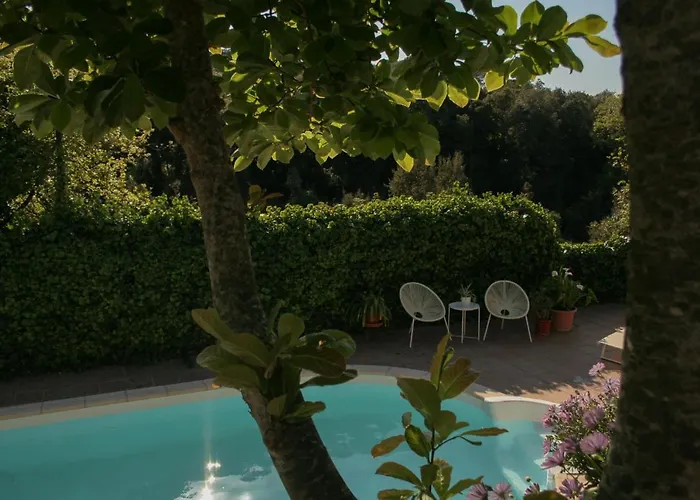 Horská chata Casa Magnolia Dosrius