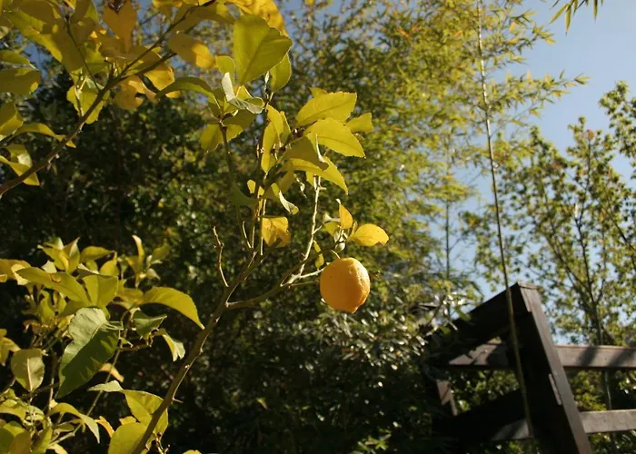 Casa Magnolia Horská chata *