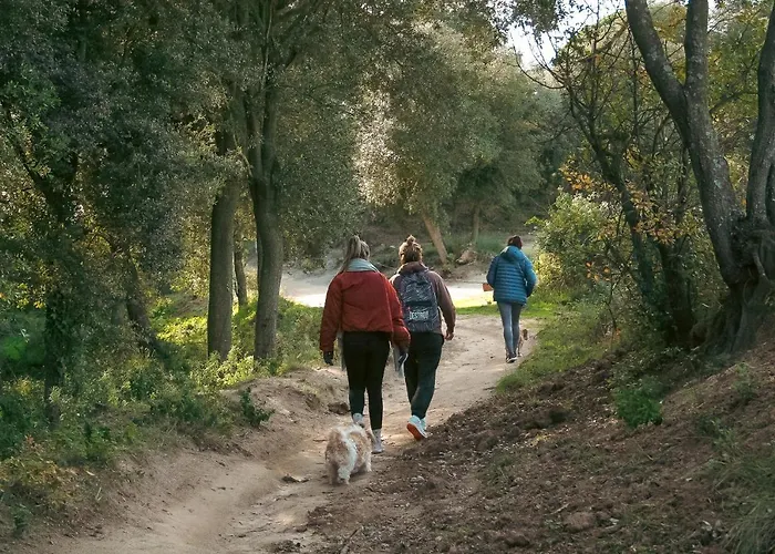 Horská chata Casa Magnolia Dosrius
