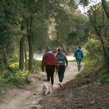 Domek alpejski Casa Magnolia Dosrius